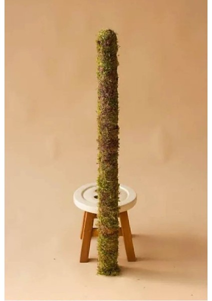 Bitki Destek Çubuğu (Yosun Sopası) 80 cm