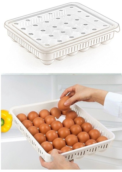 Yumurta Saklama Kabı 30'lu fiyatları