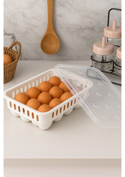 Yumurta Saklama Kabı 15'li fiyatları