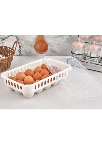 Yumurta Saklama Kabı 15'li modelleri