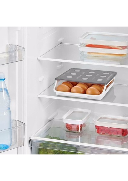 Tıdy Yumurtalık 15Lİ 1 Adet fiyatları