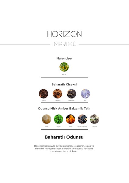 Horizon Edp 100 ml & Seyahat Boy 15 ml Erkek Parfüm Seti I Baharatlı ve Odunsu I Limon, Tarçın fırsatları