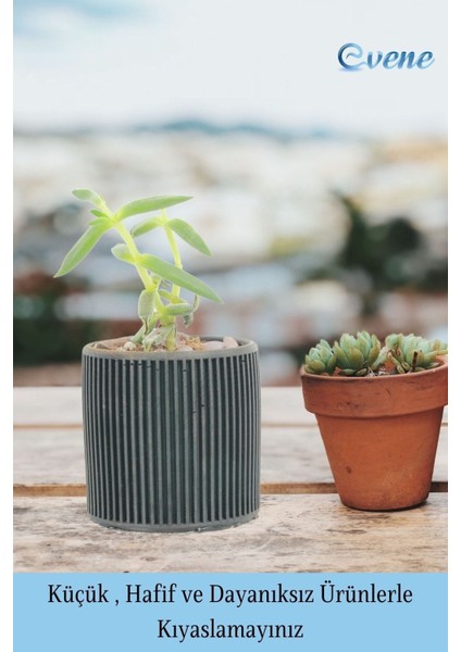 Mini Çiçek Saksı Küçük Sukulent Siyah Kaktüs Saksısı Düz Ince Çizgili Model