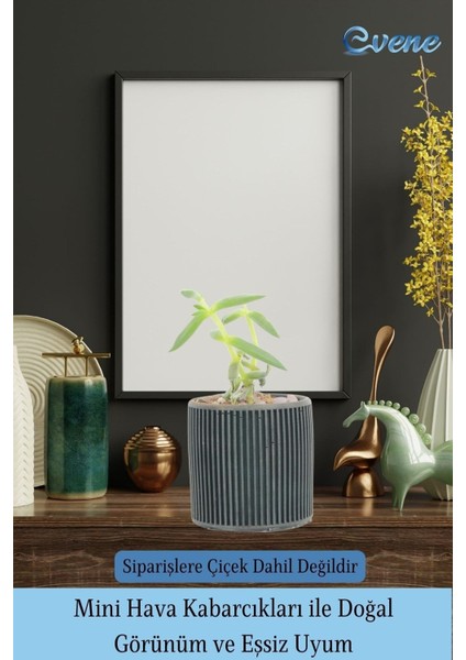 Mini Çiçek Saksı Küçük Sukulent Siyah Kaktüs Saksısı Düz Ince Çizgili Model