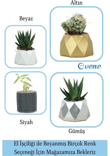 Mini Çiçek Saksı Küçük Sukulent Siyah Kaktüs Saksısı Düz Ince Çizgili Model