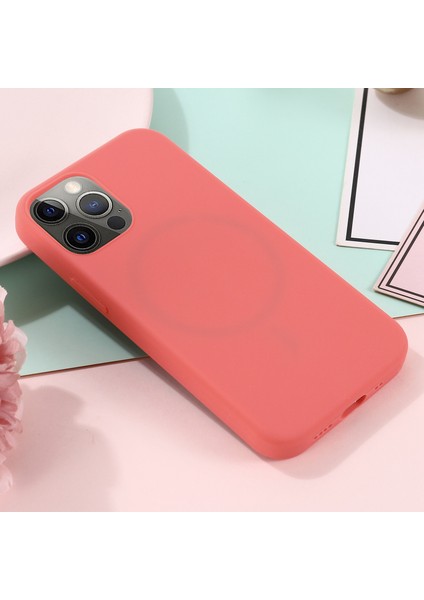 iPhone 14 Pro 6.1 Inç Sıvı Silikon Arka Kapak Magsafe Kablosuz Şarj ile Uyumlu Çizilmez Telefon Kılıfı-Sıcak Pembe (Yurt Dışından) indirimleri