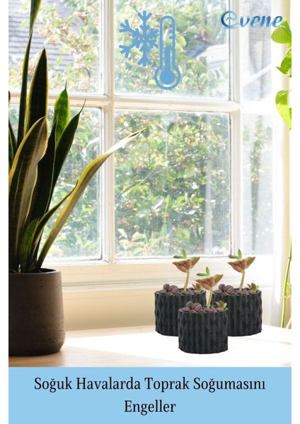 Mini Çiçek Saksı Küçük Sukulent Siyah Kaktüs Saksısı Baklava Çizgili Model