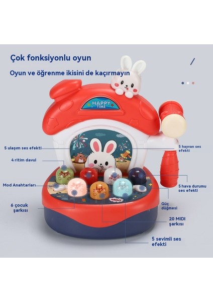 Gopher Oyuncak Müzik Ses ve Işık Erken Eğitim (Yurt Dışından) modelleri