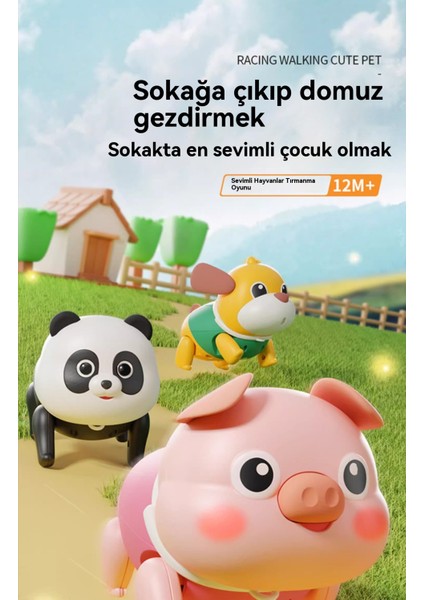 Çekme Tuzak Köpek Yavrusu Oyuncak (Yurt Dışından) fırsatları