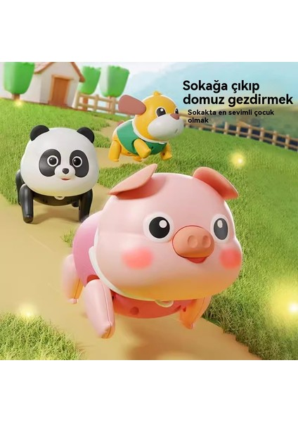 Çekme Tuzak Köpek Yavrusu Oyuncak (Yurt Dışından) indirimleri