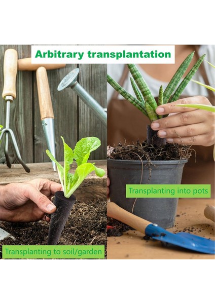 Hidroponik Için 50 Adet Büyüme Süngeri, Aero Garden Için Yedek Bitki Büyüme Süngerleri Tohum Kapsülleri, Yedek Kapsüller (Yurt Dışından) fırsatları