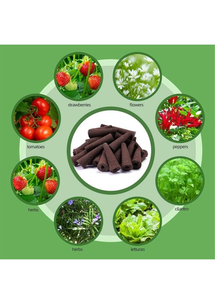 Hidroponik Için 50 Adet Büyüme Süngeri, Aero Garden Için Yedek Bitki Büyüme Süngerleri Tohum Kapsülleri, Yedek Kapsüller (Yurt Dışından) indirimleri