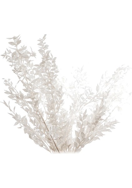 45 cm Kurutulmuş Sonsuza Kadar Korunmuş Ruscus Çiçekler Dıy Çiçek Dekorasyon Kuru Çiçek Buketi Düğün Ev Dekor Için (Yurt Dışından)