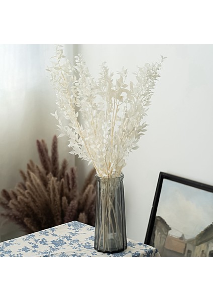 45 cm Kurutulmuş Sonsuza Kadar Korunmuş Ruscus Çiçekler Dıy Çiçek Dekorasyon Kuru Çiçek Buketi Düğün Ev Dekor Için (Yurt Dışından) fiyatları