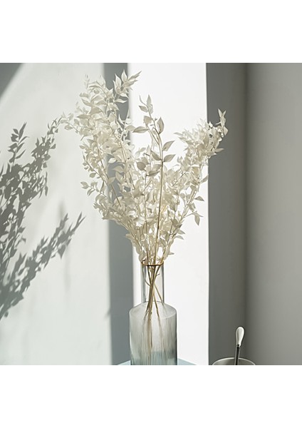 45 cm Kurutulmuş Sonsuza Kadar Korunmuş Ruscus Çiçekler Dıy Çiçek Dekorasyon Kuru Çiçek Buketi Düğün Ev Dekor Için (Yurt Dışından) fırsatları