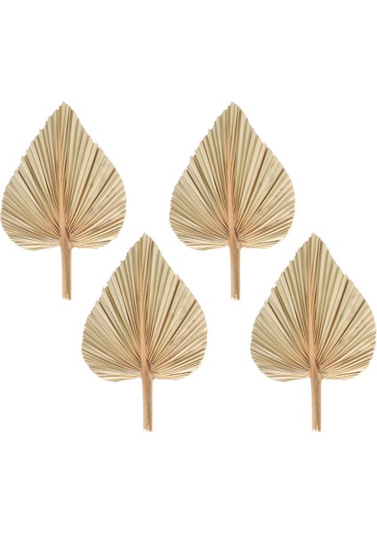 Adet Kurutulmuş Palmiye Yaprakları Kurutulmuş Palmiye Hayranları Bohemian Kurutulmuş Palmiye Mızrakları Yapay Bitkiler Palmiye Yaprakları Tropikal Palmiye Yaprakları (Yurt Dışından) fiyatları