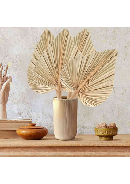 Adet Kurutulmuş Palmiye Yaprakları Kurutulmuş Palmiye Hayranları Bohemian Kurutulmuş Palmiye Mızrakları Yapay Bitkiler Palmiye Yaprakları Tropikal Palmiye Yaprakları (Yurt Dışından) indirimleri