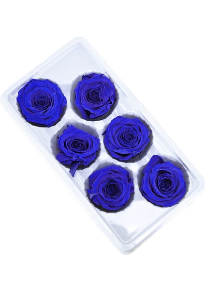6 Adet Korunmuş Yaşam Çiçeği 5-6 cm Gül Baş Düğün Partisi Dekorasyonu Sevgili Anneler Günü Dıy El Yapımı Hediye Çiçekler, E (Yurt Dışından)