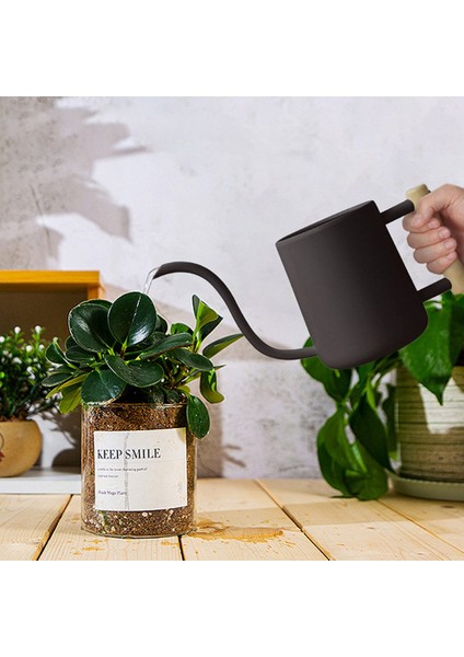 Sulama Kovası Iç Mekan Bitkileri, 35 OZ/1000 ml Metal Paslanmaz Çelik Sulama Kabı, Kapalı Ev Için Uzun Borulu Siyah (Yurt Dışından) fırsatları