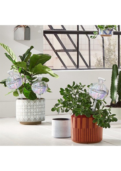 Bitki Sulama Ampulleri Bitki Sulama Küreleri Cam Kaktüs Kendiliğinden Sulama Saksısı Iç ve Dış Mekan Bitkileri Için 4'lü Paket (Yurt Dışından) fırsatları