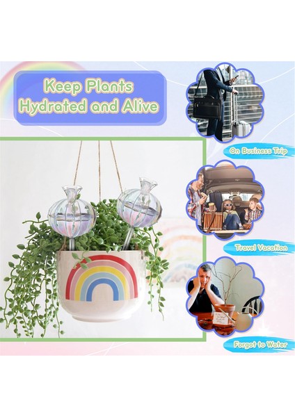 Bitki Sulama Ampulleri Bitki Sulama Küreleri Cam Kaktüs Kendiliğinden Sulama Saksısı Iç ve Dış Mekan Bitkileri Için 4'lü Paket (Yurt Dışından) indirimleri