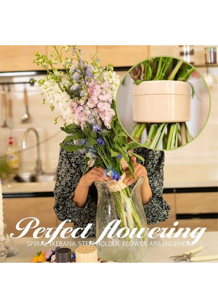 Spiral Sap Destek Plastik Çiçek Yerleştirme Aracı Çiçek Tasarımı Döndürme Çiçek Tüpü 2 Paket (Yurt Dışından) indirimleri