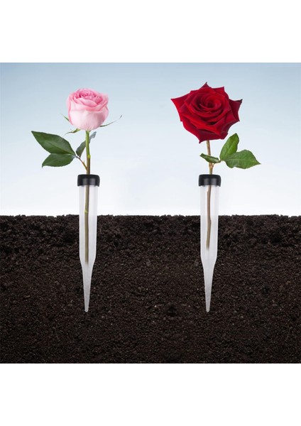 Çiçek Tüpleri 50'li Plastik Çiçek Tüpleri Paketi, Çiçekler Için Şeffaf Su Tüpü, Yeniden Kullanılabilir Çiçekler, Su Tüpleri (Yurt Dışından) fırsatları