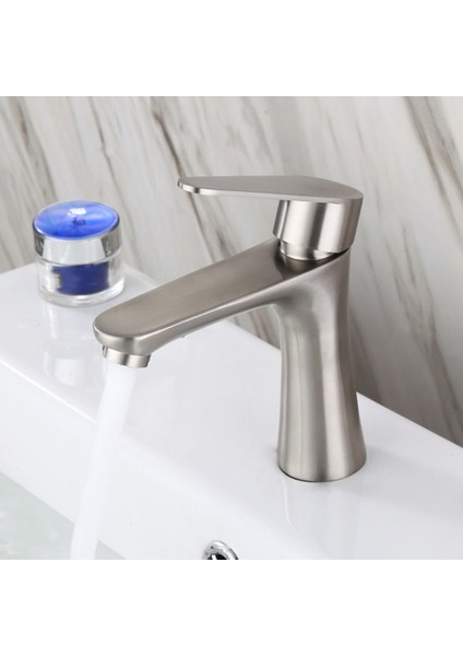 Havza Lavabo Banyo Musluğu Tezgah Üstü Tek Soğuk Su Havza Musluğu Tuvalet Musluğu Paslanmaz Çelik Küçük Bel (Yurt Dışından) fiyatları