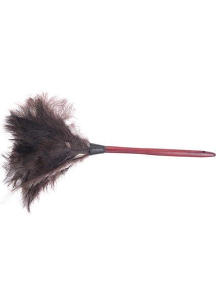 Devekuşu Temizleme Tüyü Silgi Devekuşu Silgi Devekuşu Tüyü Silgi Yumuşak Tüyler Silgi Mobilyadan Fan Kanatlarına (Yurt Dışından)