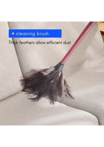 Devekuşu Temizleme Tüyü Silgi Devekuşu Silgi Devekuşu Tüyü Silgi Yumuşak Tüyler Silgi Mobilyadan Fan Kanatlarına (Yurt Dışından) fiyatları