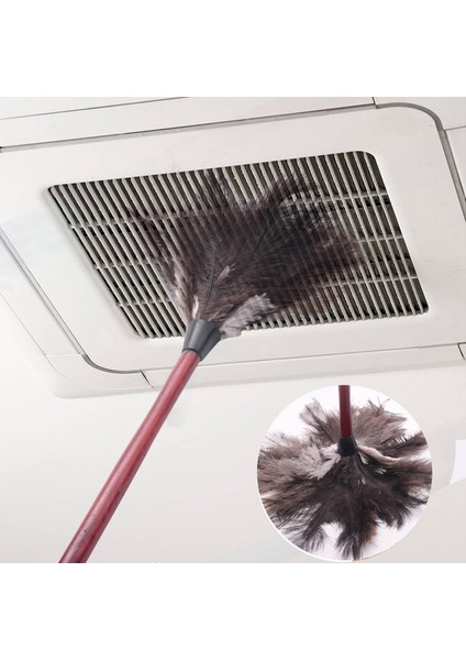 Devekuşu Temizleme Tüyü Silgi Devekuşu Silgi Devekuşu Tüyü Silgi Yumuşak Tüyler Silgi Mobilyadan Fan Kanatlarına (Yurt Dışından) modelleri