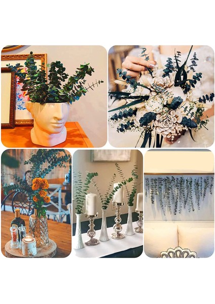 16 Adet-Korunmuş-Kurutulmuş-Okaliptüs-Dalları, 17IN Duş Için Taze Okaliptüs Bitkisi, Vazo Dolgusu Için Gerçek Okaliptüs Demeti (Yurt Dışından) fırsatları