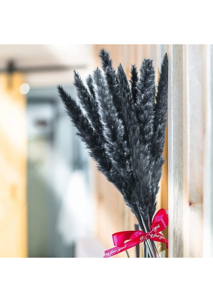 30 Adet Siyah Pampas Çim, 17 Inç Doğal Kurutulmuş Kaık Küçük Ev Düğün Dekor Için Kaynaklanıyor Çiçek Aranjmanları, Dekor (Yurt Dışından) fırsatları