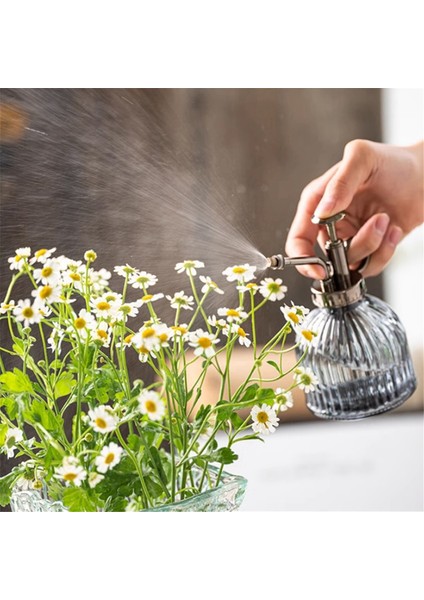 Bitki Çiçek Sulama Kabı Sprey Şişesi Antika Cam Sulama Kovası Bitki Sulama Kazanı Bahçe Sulama Fıskiyesi Bahçe C (Yurt Dışından) fırsatları