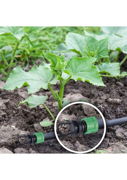 24 Adet Damla Sulama Boru Uç Kapağı Fişi 1/2 Inç Evrensel Uç Kapağı Bağlantısı, 16MM Damlama Bandı Boru Yağmurlama ile (Yurt Dışından) indirimleri