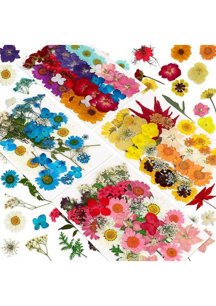 144 adet doğal kurutulmuş preslenmiş çiçekler reçine, kuru çiçek toplu doğal otlar seti mum, epoksi reçine, DIY sanat el sanatları (Yurt Dışından)