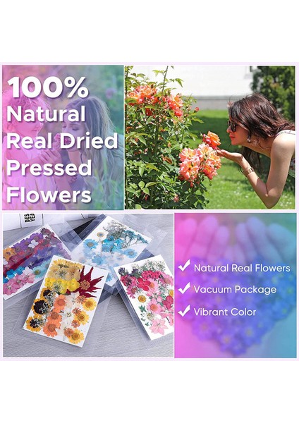 144 adet doğal kurutulmuş preslenmiş çiçekler reçine, kuru çiçek toplu doğal otlar seti mum, epoksi reçine, DIY sanat el sanatları (Yurt Dışından) fiyatları
