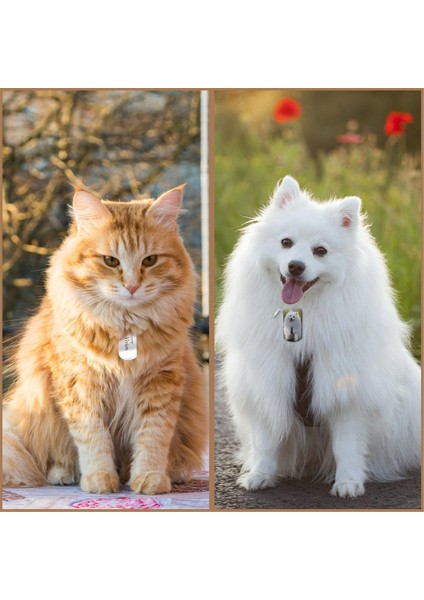 30 Adet Gravürlü Metal Anahtarlık Boşlukları Paslanmaz Çelik Boş Anahtarlık Etiketi Delikli Gravür Için Metal Damgalama Boşlukları (Yurt Dışından) modelleri