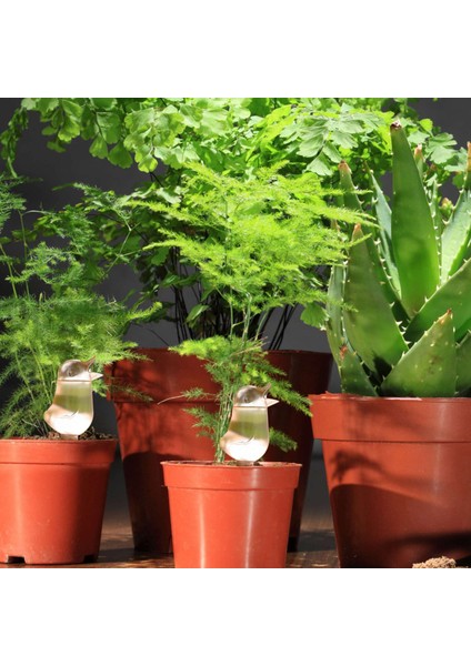 Adet Kuş Şekli Şeffaf Bitki Sulayıcı Temiz Kendiliğinden Sulama Cihazları Küreler, Ev Bitkisi Sulama Ampulleri Bitki Sulama Çivileri Otomatik Damla Sulama Su Kazık Sistemi (Yurt Dışından) fırsatları