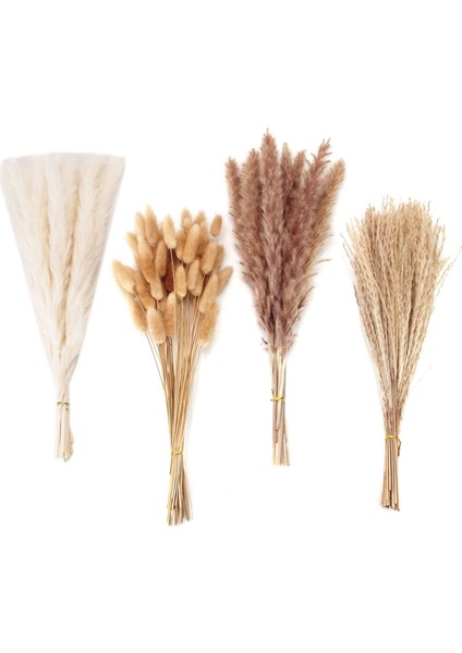 100 Adet Kurutulmuş Pampas Çim Dekor Pampas Çim Bunny Kuyrukları Kurutulmuş Çiçekler Kamış Çim Buket Düğün Parti Için Boho Dekor (Yurt Dışından)