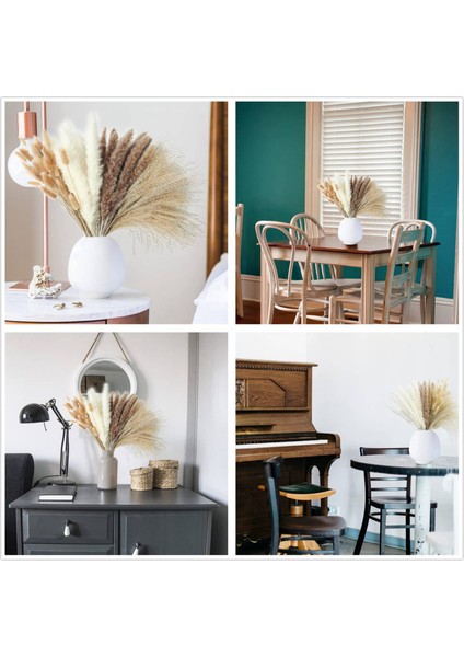 100 Adet Kurutulmuş Pampas Çim Dekor Pampas Çim Bunny Kuyrukları Kurutulmuş Çiçekler Kamış Çim Buket Düğün Parti Için Boho Dekor (Yurt Dışından) fiyatları