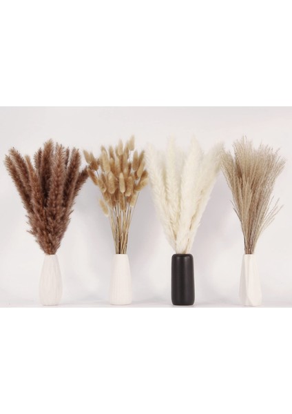 100 Adet Kurutulmuş Pampas Çim Dekor Pampas Çim Bunny Kuyrukları Kurutulmuş Çiçekler Kamış Çim Buket Düğün Parti Için Boho Dekor (Yurt Dışından) fırsatları