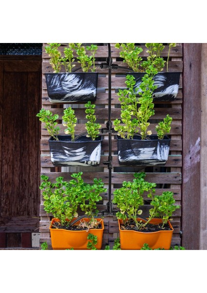 30 Adet 1/4 Inç Damla Sulama T Bağlantı Parçaları Damla Borusu Için Sulama Bağlantı Parçaları Hızlı Bağlantı Damla Sulama Parçaları (Yurt Dışından) indirimleri