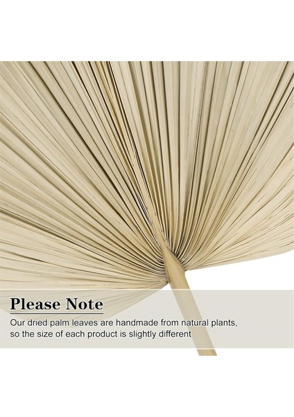 6 Adet Kurutulmuş Palmiye Yaprakları Doğal Kurutulmuş Palmiye Yelpazeleri, Boho Düğün Dekoru Için Büyük Palmiye Mızrağı, Tropikal Palmiye Yaprakları Dekorasyonu S (Yurt Dışından) fiyatları
