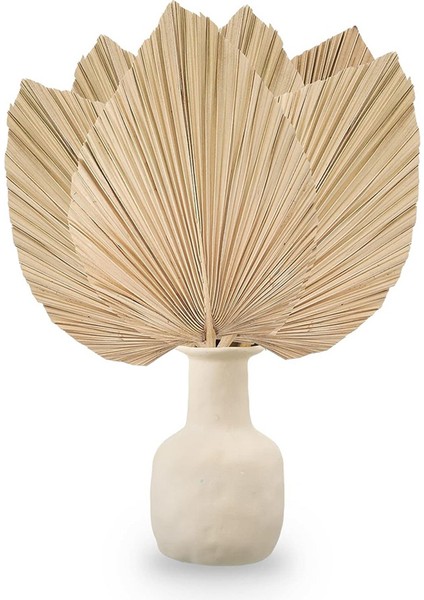 6 Adet Kurutulmuş Palmiye Yaprakları Doğal Kurutulmuş Palmiye Yelpazeleri, Boho Düğün Dekoru Için Büyük Palmiye Mızrağı, Tropikal Palmiye Yaprakları Dekorasyonu S (Yurt Dışından) fırsatları