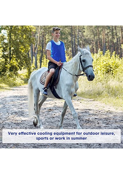 2 Adet Soğutma Yeleği 48 Adet Buz Paketi ile Ayarlanabilir Buz Yeleği Erkekler Kadınlar Için Sıcak Hava Çalışma Koşu Balıkçılık Bisiklet (Yurt Dışından) modelleri