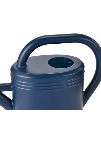 Iç Mekan Bitkileri Için Sulama Kovası,bahçe Sulama Kovaları Dış Mekan Bitki Ev Çiçeği,yağmurlama Başlıklı Sulama Kapları (Mavi) (Yurt Dışından)