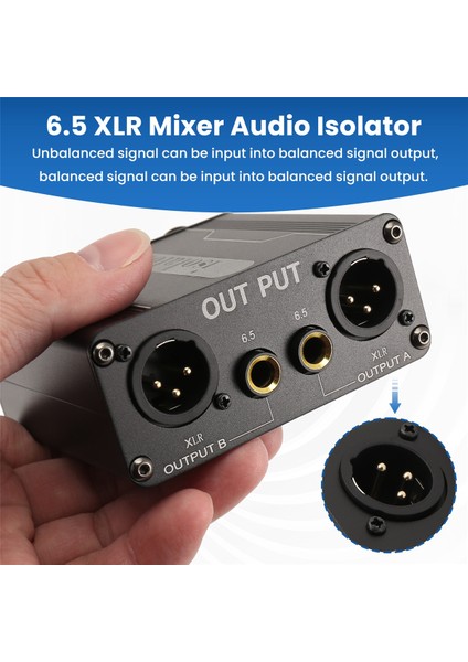 GX200 Audio Izolatör Çift Kanal 6.5 Xlr Mikser Ses Izolatörü Akım Ses Gürültü Mikrofonu Mikrofon Ortak Toprak Filtresi (Yurt Dışından) fırsatları