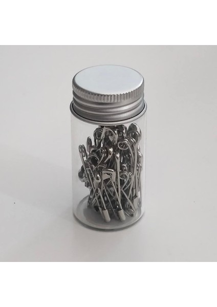 Gümüş Çengelli Iğne 9415886