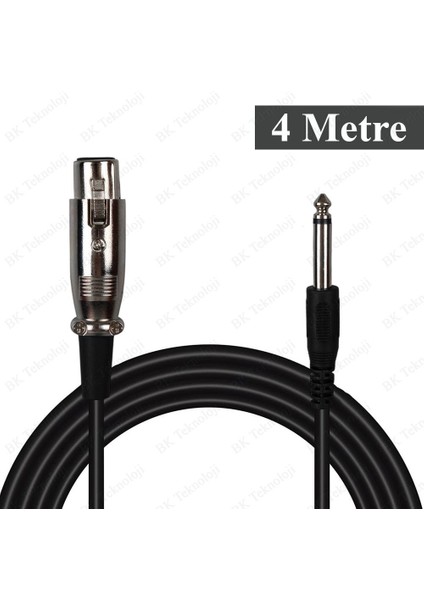 4 Metre 6.35MM Trs Erkek - Xlr Dişi Mikrofon Kablosu fiyatları